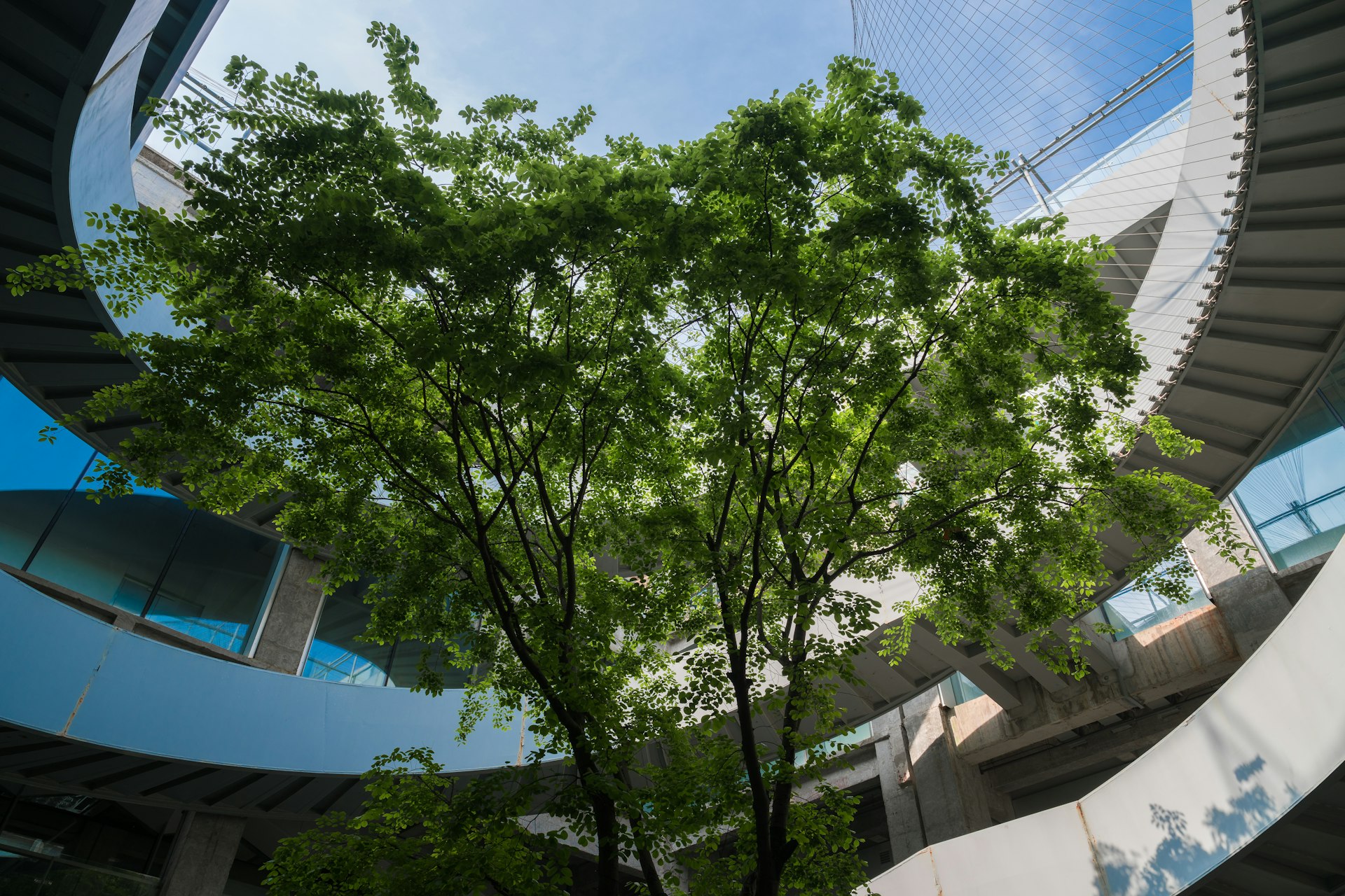 a circular building with a tree in front of it